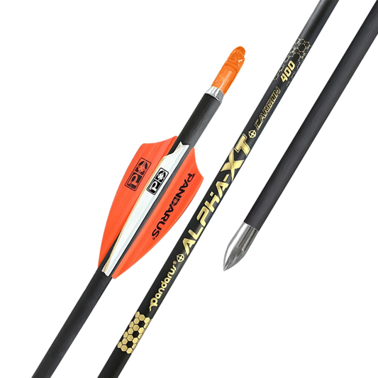 Flèche Pandarus Alpha XT