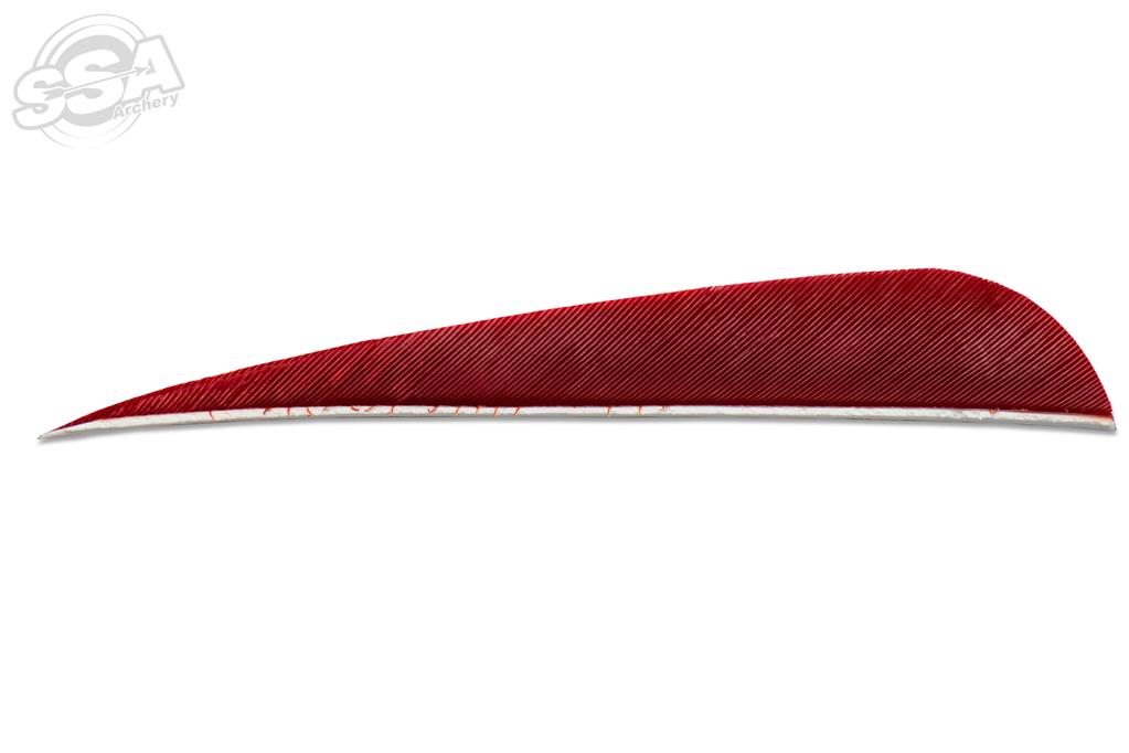 Plumes Skylon 5" Round Uni par 24