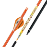 Flèche Pandarus Precision