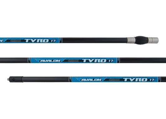 Stabilisation Centrale Avalon Tyro 17