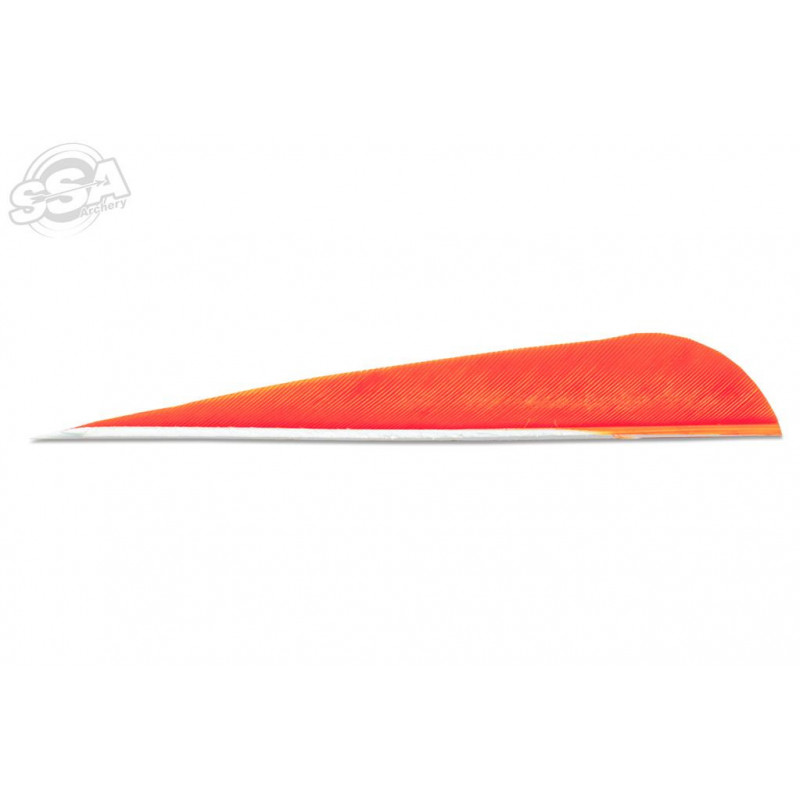 Plumes Skylon 3" round uni