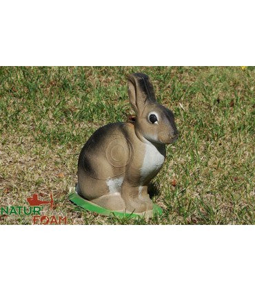 Lapin assis - cible 3D