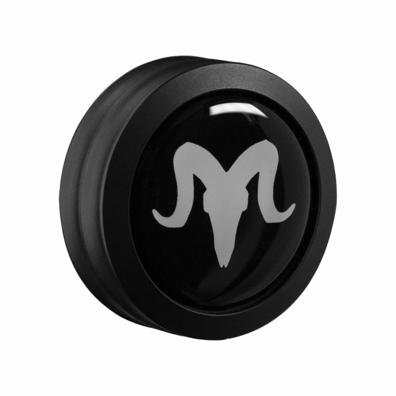 Masse finition Ramrods weight Cap 2oz (Black)