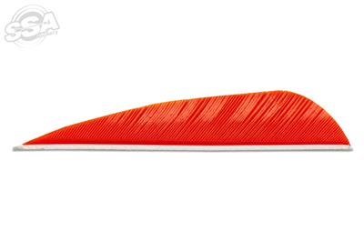 Plumes Skylon 3" Round Uni par 24