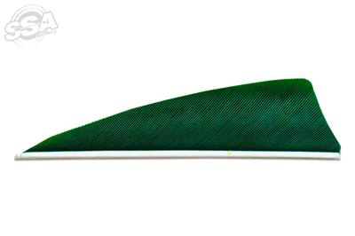 Plumes Skylon 3" Shield Uni par 24