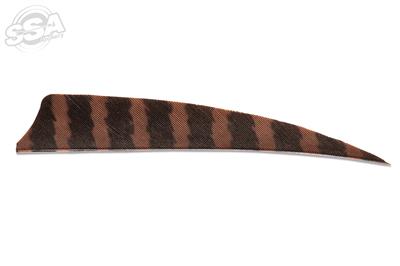 Plumes Skylon 4" Shield Barred par 24
