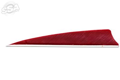 Plumes Skylon 4" Shield Uni par 24