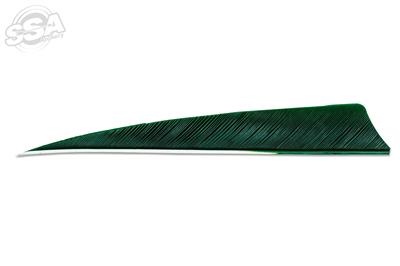 Plumes Skylon 5" Shield Uni par 24