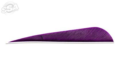Plumes Skylon 5" Round Uni par 24