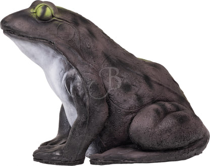 Cible 3d Grenouille Booster